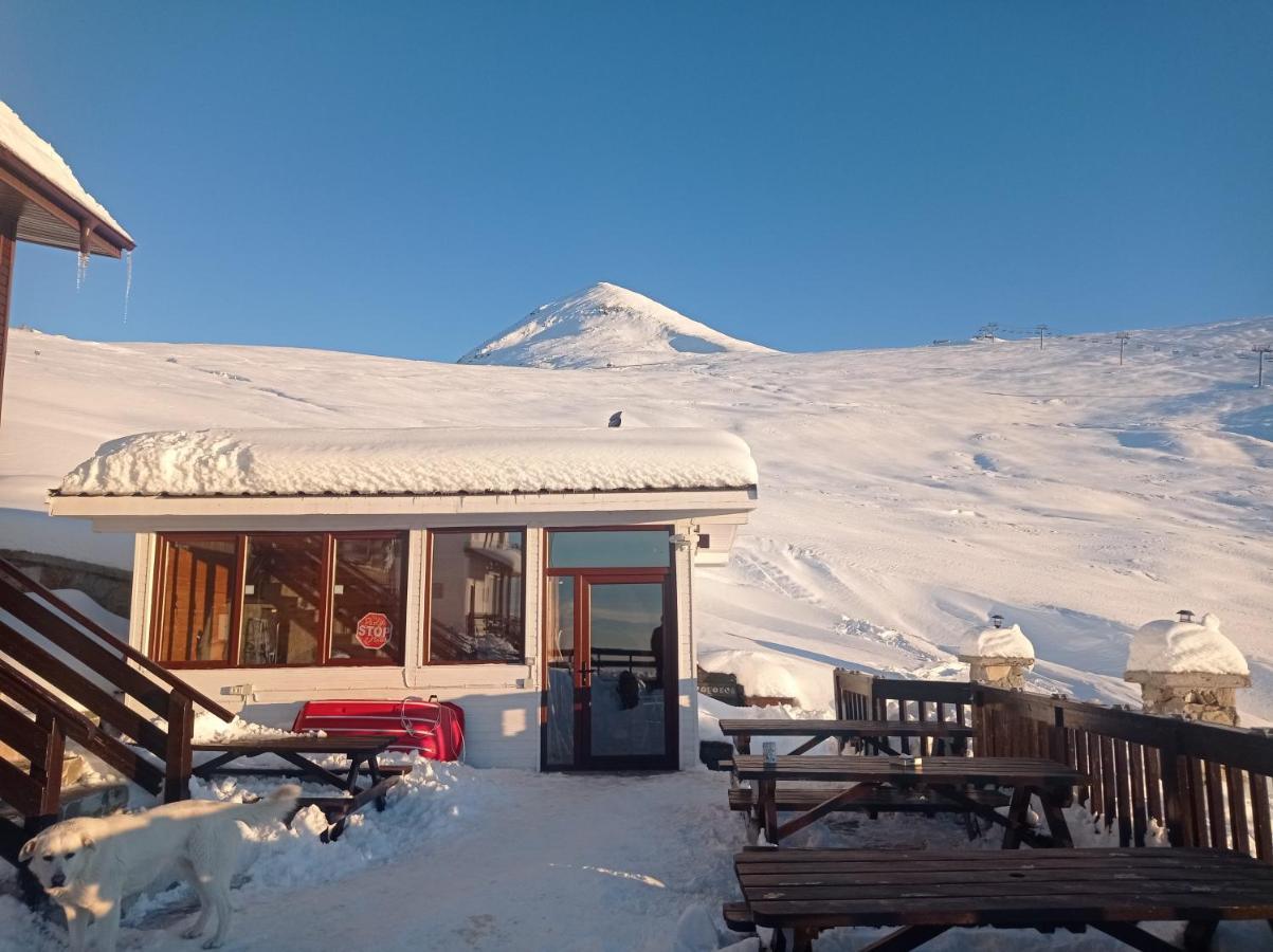 Cabana Transalpina Ranca Exterior foto